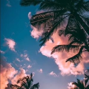 Meet your Posher, Katelyn